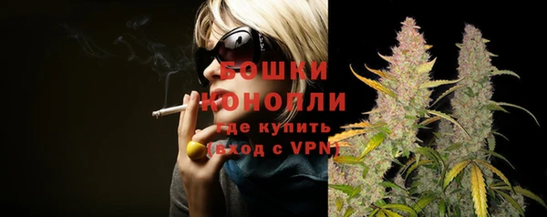 трава Иноземцево