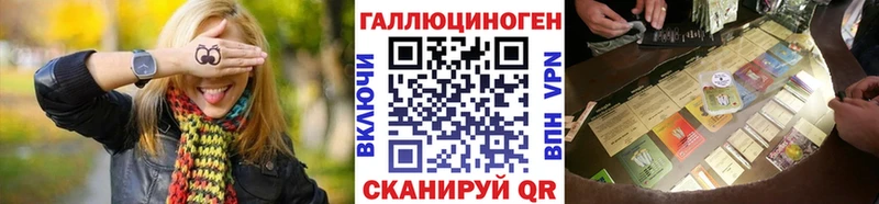 купить цена Благодарный Псилоцибиновые грибы Psilocybine cubensis
