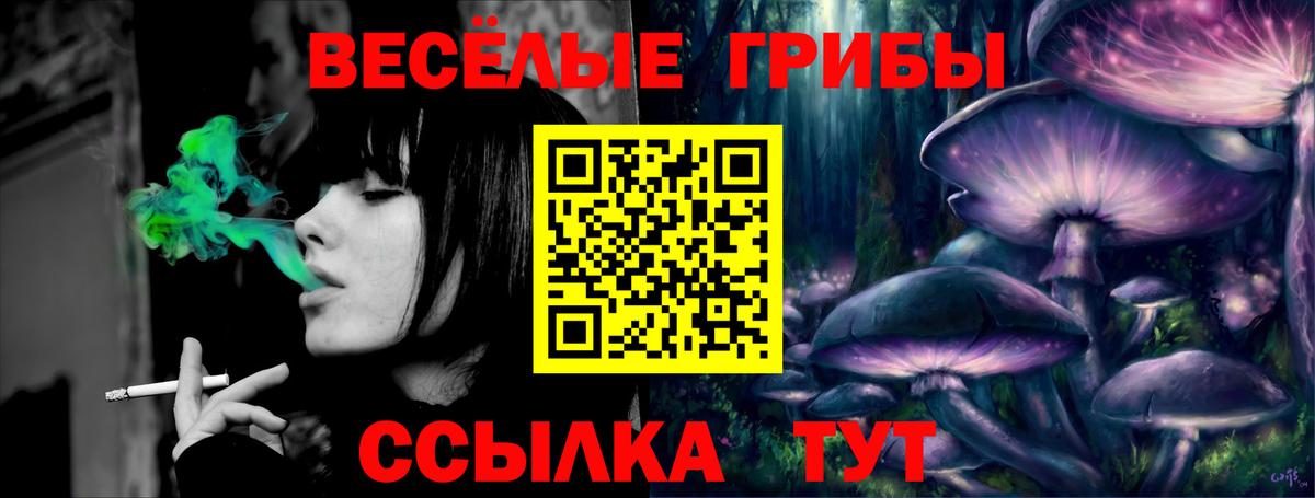 Псилоцибиновые грибы GOLDEN TEACHER  Благодарный 